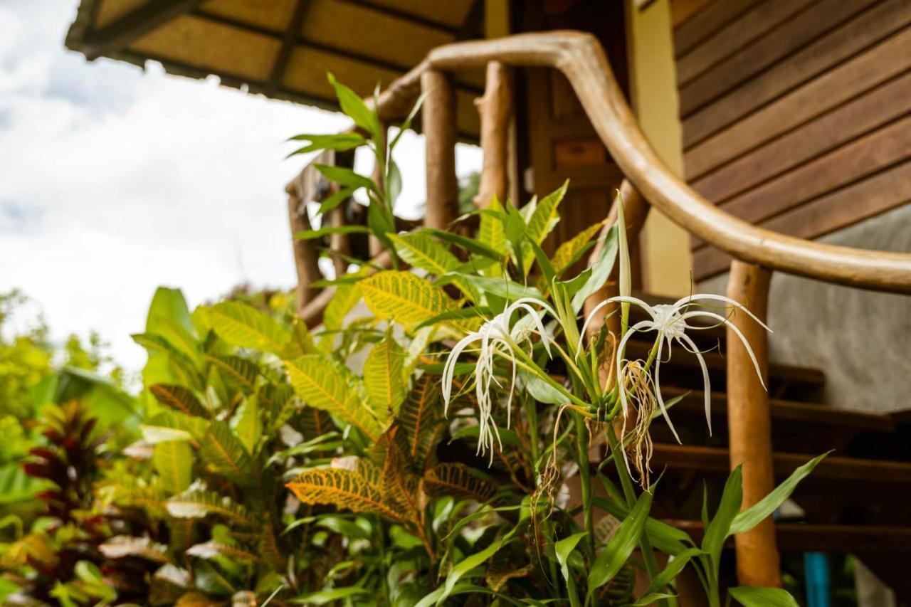 Monkey Mansion - Jungalows & Tours Khao Sok National Park Exterior foto